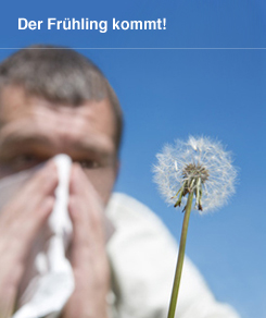 Serviceangebot